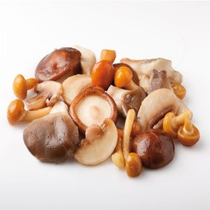 SETA SURTIDO F-720 MATEO