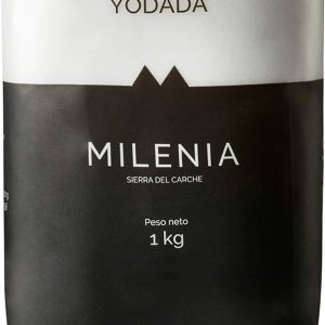 SAL FINA YODADA B-1 K